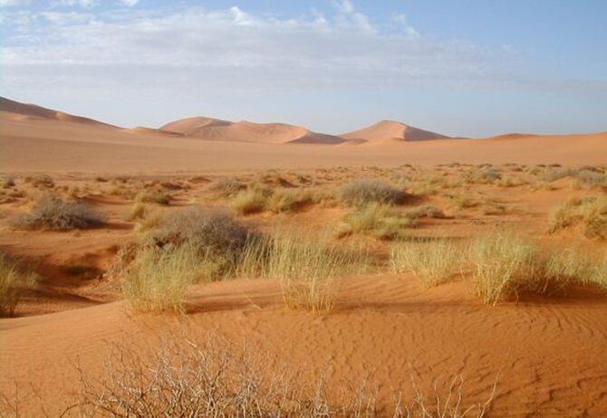 Sahara (fot. Florence Devouard/Wikipedia)