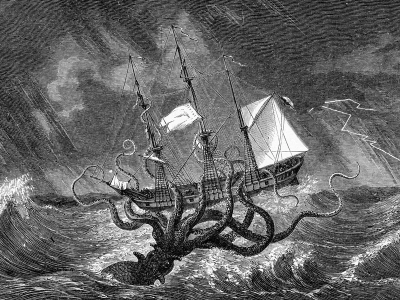 Kraken istniał naprawdę? Naukowcy odkryli szokujące dowody