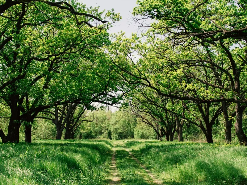 Długoterminowa prognoza pogody dla Polski. Synoptyk o nowym modelu. „Przeplatanka”