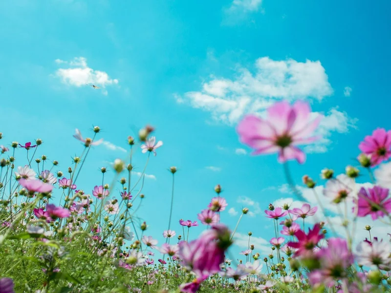 Długoterminowa prognoza pogody dla Polski. Wiemy, jaka będzie Wielkanoc