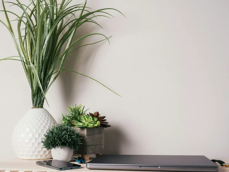 Quiz ortograficzny z nazwami zwierząt. Od błędnych form oczy mogą zaboleć!