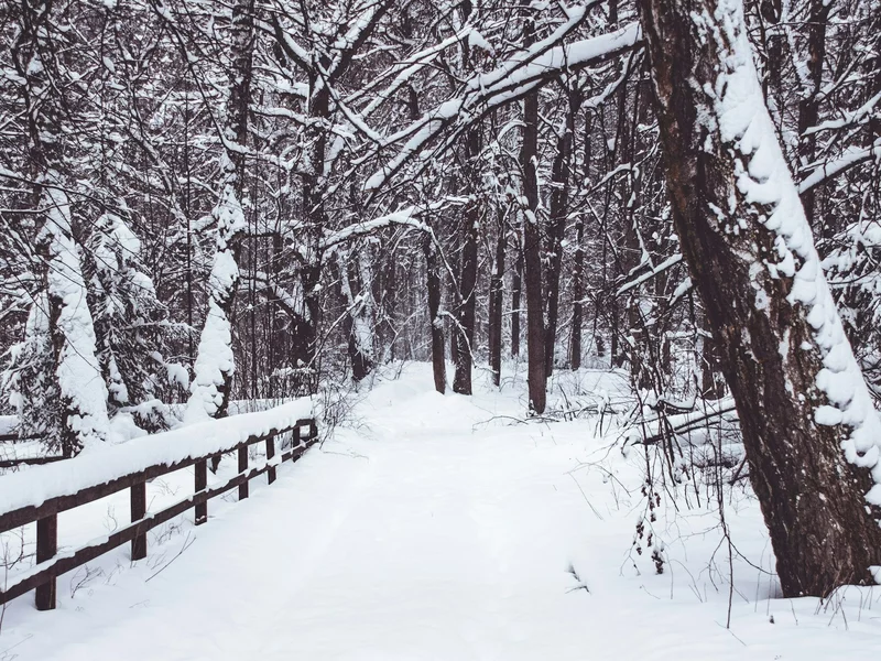 Prognoza na Święta Bożego Narodzenia i Nowy Rok. Meteorolodzy odsłaniają karty