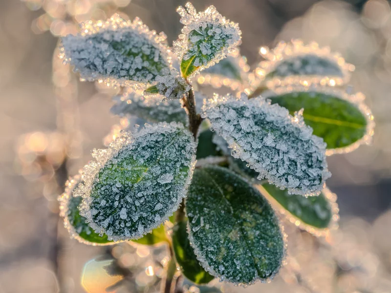 Pogodowy zwrot o 180 stopni. Po wielkanocnym cieple nadejdzie mróz