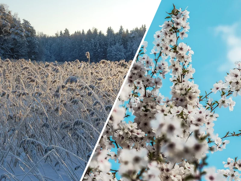 Drastyczna zmiana pogody. W Polsce może sypnąć śniegiem