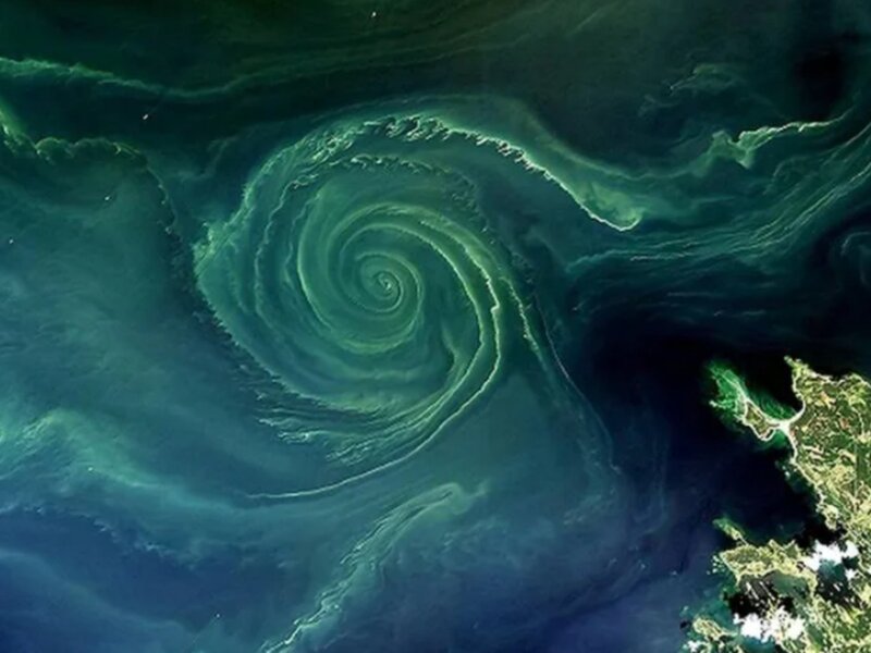 Gigantyczny zielony wir na Bałtyku. Naukowcy alarmują