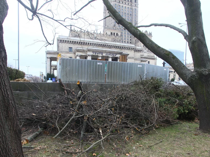 Bójki i alkohol w centrum Warszawy. Tak młodzi Ukraińcy „przejęli” znany park