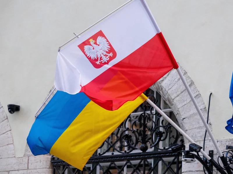 Ukraiński profesor nie mógł się opamiętać. „Polska gwałtownie traci reputację”