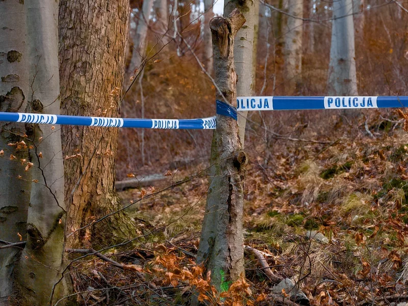 Tragiczny finał dożynek. Ukraiński kierowca potrącił kobietę i uciekł