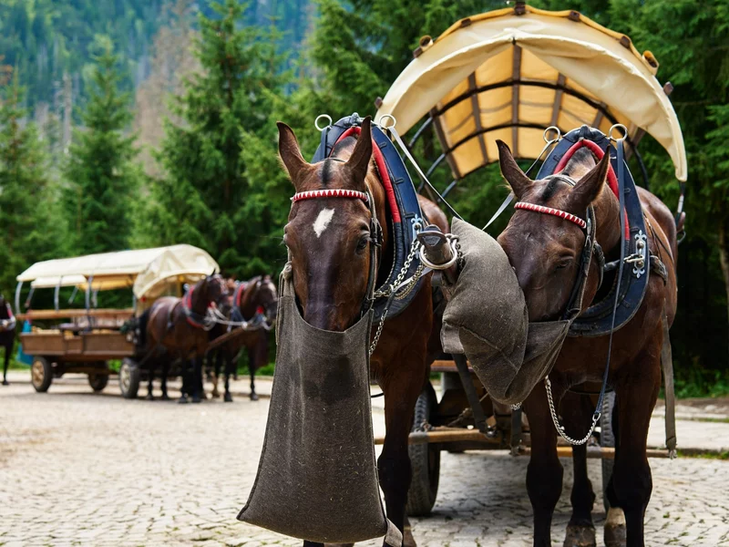 Rewolucja na trasie do Morskiego Oka. Konie odciążone, fiakrzy wściekli
