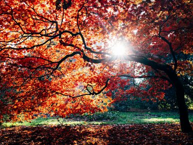 Poniedziałek będzie ciepły i pogodny. Na termometrach nawet 24 stopnie!