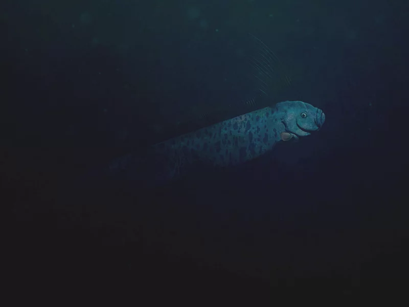 Dokonały na plaży niepokojącego odkrycia. „Dwie ryby zagłady”