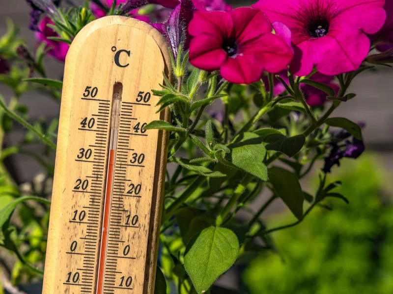 Tak będzie wyglądać lato w Polsce. Meteorolodzy już wiedzą