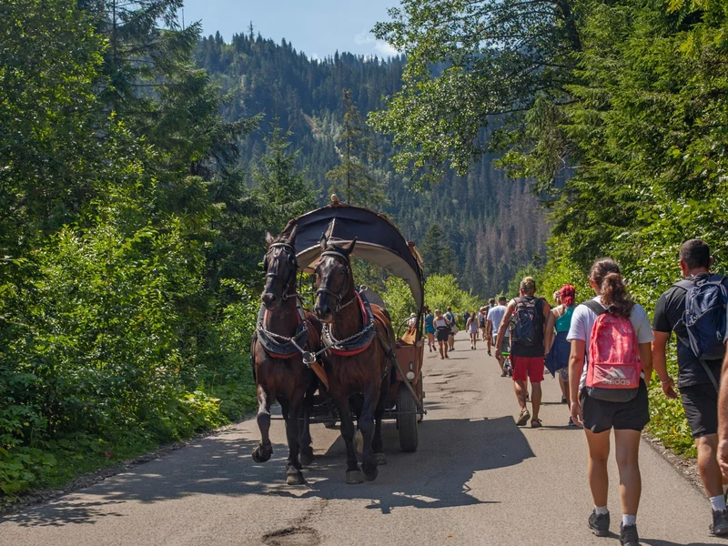 Konie cierpią w upale nad Morskim Okiem? Jest zdecydowana reakcja: Prawda jest taka