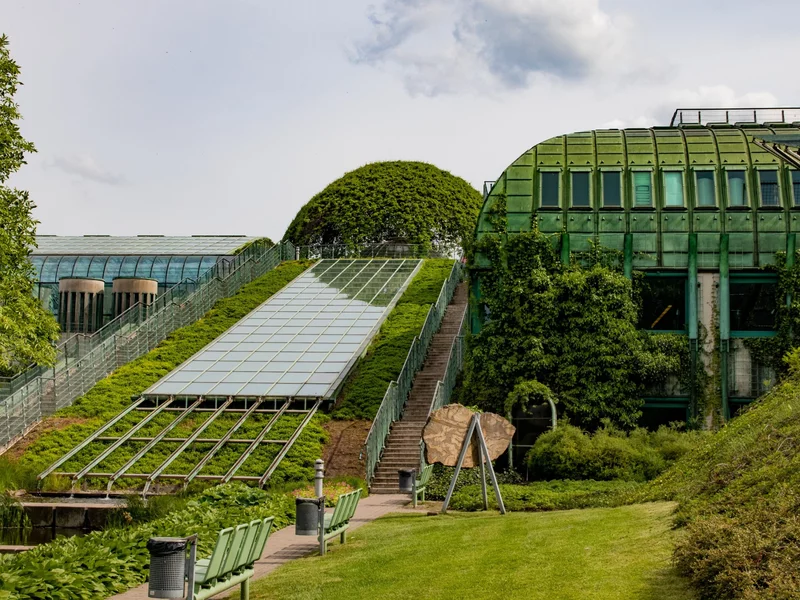 Skradzione w BUW-ie książki wystawiono na aukcji w Moskwie. Cena robi wrażenie
