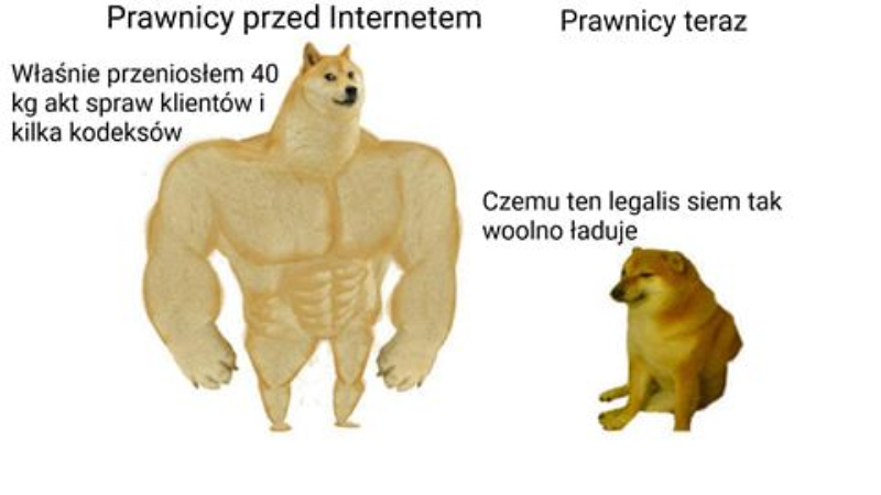 Mem Z Napakowanym I Placzacym Pieskiem Galeria Zdjecie 2