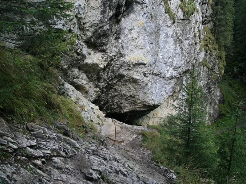 Zagadka z jaskini Stajnia. „Polscy” neandertalczycy pod lupą naukowców