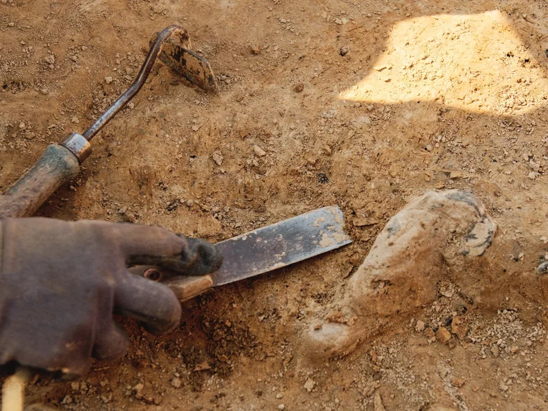 Sensacyjne znalezisko w Krośnie. Piwnice skrywały sekret. „Militarne odkrycie”