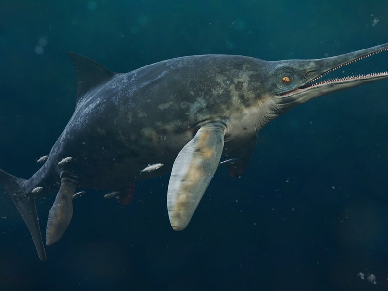 Polacy odkryli wodne monstrum. Sensacyjne znalezisko w sercu Gór Świętokrzyskich