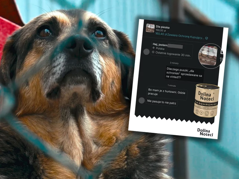 Pomoc dla zwierząt wystawiona na sprzedaż. Internauci oburzeni