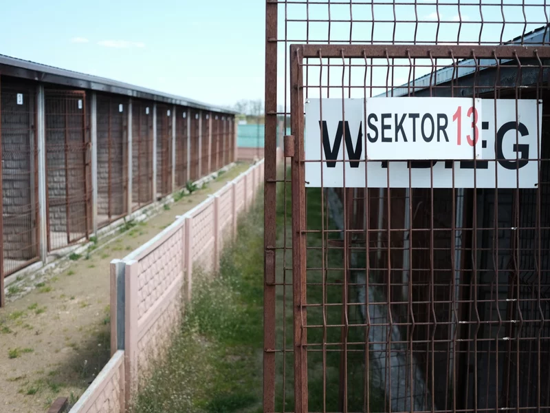 Setki świadków, a wyroków wciąż brak. To dzieje się w sprawach patoschronisk