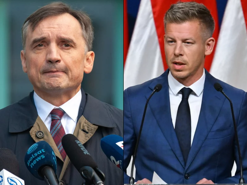 To czeka Ziobrę i Romanowskiego. Magyar nie gryzł się w język