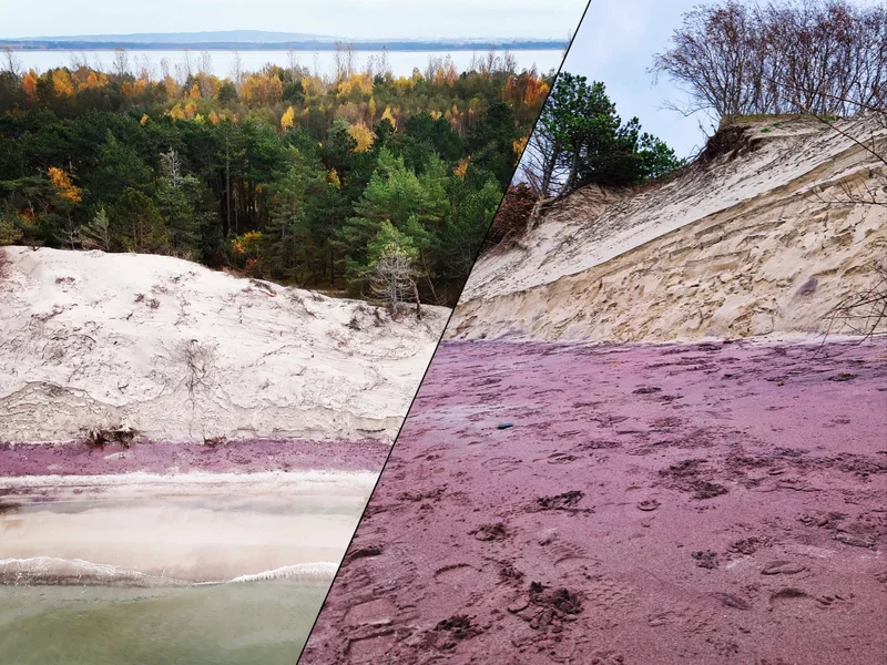 Widok jak z bajki. Plaża nad Bałtykiem zmieniła kolor
