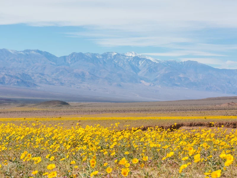 Ewenement w Dolinie Śmierci. Tego zjawiska nie widziano od dekady