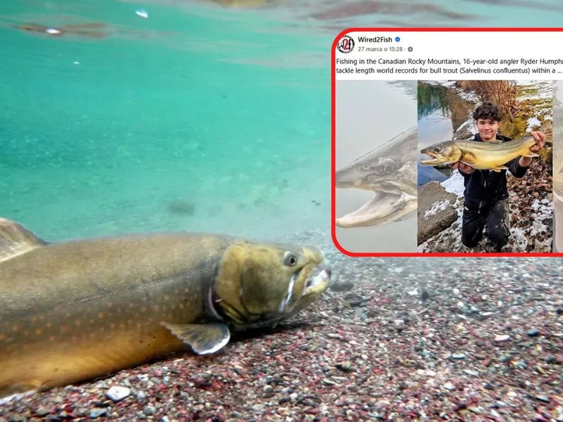 Ma 16 lat i dwa wędkarskie rekordy świata. Wyczynu dokonał z chirurgiczną precyzją