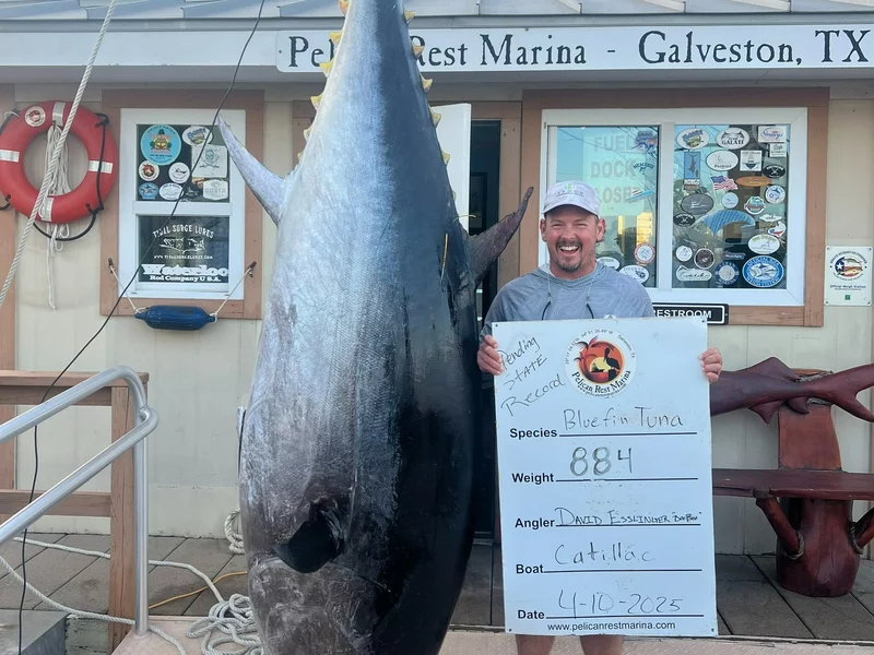 Wędkarz pobił rekord, złowił „rybę wielkości samochodu”. „Nigdy się nie poddawaj”