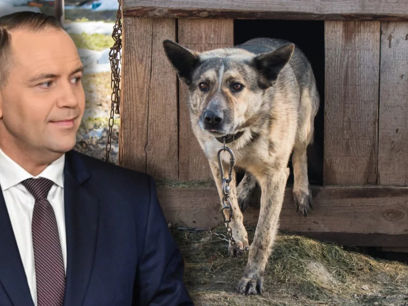 Ustawa łańcuchowa zawetowana. „Psy na łańcuchu gryzą najdotkliwiej”