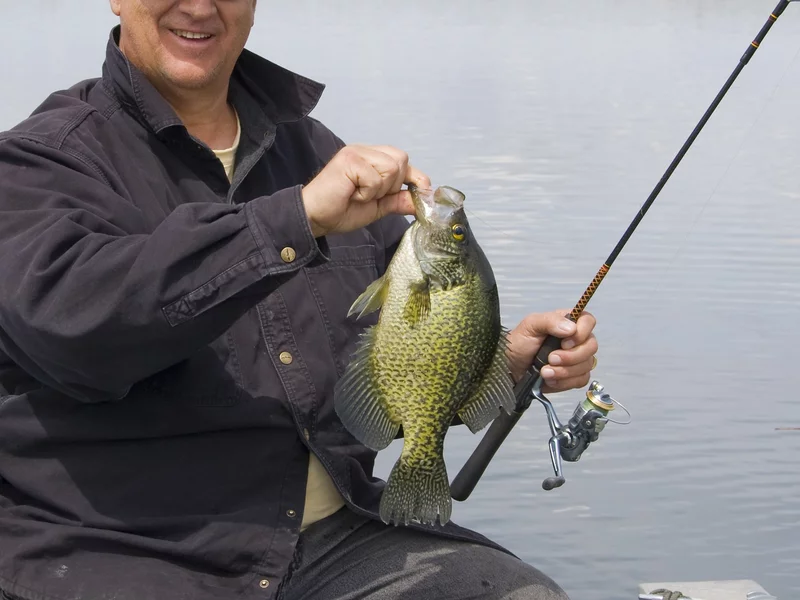 Złowił rybę, padł nowy rekord. W środowisku wędkarskim aż huczy